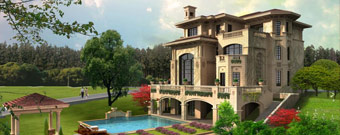 公司動(dòng)態(tài)